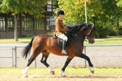 Katie-Parry-Evans-and-Trevallion-Culhwch