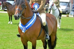 Natasha-Ham-and-Maescrofta-Don-Juan