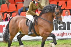 Tamia-Joyner-and-Cruglwyd-Esgob