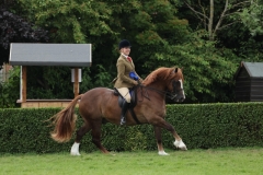 1_Simone-Harrison-and-Wishaw-Red-Admiral