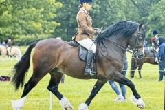 Katie-Parry-Evans-andTrevallion-Culhwch