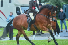 Mikileigh-Batchelor-and-Starloch-Princess-Bride