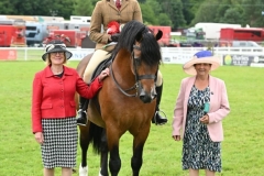 Natasha-Ham-and-Maescrofta-Don-Juan