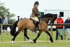 Sarah-Burkhill-and-Taiforgan-Cracker-Jack