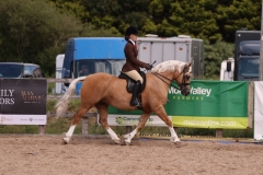 Scarlett Rose Whitehurst and Abbeyvale Higher Love 