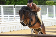 Frankie-Currell-and-Dunkery-Black-Grouse