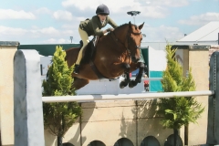 Susie Eddis Horse:Pony Noble Sir Prize