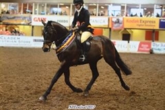 Shannon Sheridan and Roving Pedlar