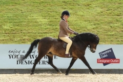 davinia-johnson-and-stowbrook-red-kite
