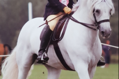 Katie Novell and Castle Admiral