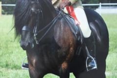 Lauren Beaumont Hand Stuffynwood Primrose