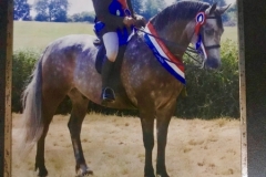 harrison taylor and skellorn prarie starlight