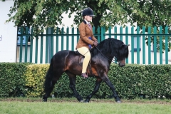 Jessica Carney Horse:Pony Langfield Kaisa