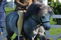 Lauren Jarvis and Hagrid Of Catchpool