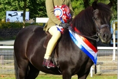 Isobel Hanson and Sharptor Bellisima