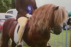 Lotuspoint Cassius and Emily Stobbart