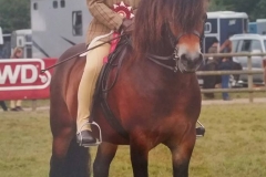 Warrenmere Woodcock and Elizabeth Bryant‎