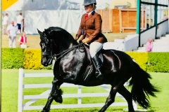 Amy smith and Hett solitaire