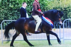 Hayley Reynolds and Dunkery Wigeon