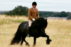 Joe Watson and Westwick Duke