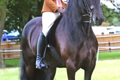 Charlotte Smiley and Copleylane Ringo