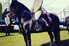 Georgina McGill McQueenie and Stuffynwood Prince Alfie