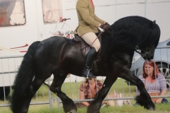 Jonny Stevens and Wildhoeve Okidoki