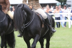 iysha pitman Horse:Pony Bybeck Kasper