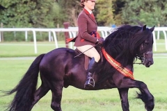 Bracklinn Jackpot and  Hayley Reynolds