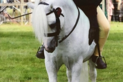 Amber Ripper and Colne Taboo