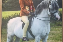 Criccieth Icon ridden by Emma Moroney