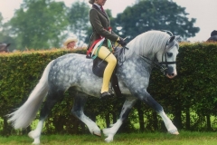 Crumpwell Harry Potter and Isobel Mae Lines