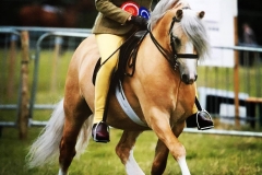 Emma Littlefair and Coffeepot Champagne Charlie