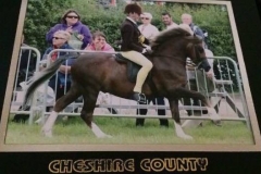 Harrison Taylor and Friars All Gold