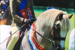 Thistledown Fun-Fair and Isabella Kirby