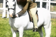 Hannah Horton Horse:Pony Caerhosyn Ennillwr