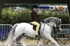 Emma Moroney and Criccieth Icon