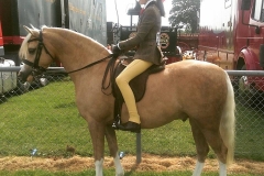 Laithehill Flute and Kinvara Garner