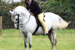 Littlebyrom Harry Potter and Liane Evans