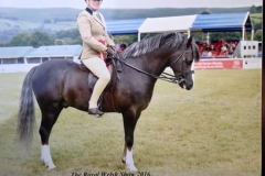 Michelle and Balfour Prince Regent