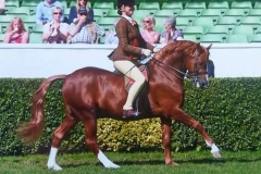 Musberry Consortium and Katie Brown