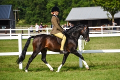 Steph mansfield and Janpete tom thumb