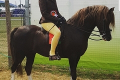 Eiry Bonner and Moelview Prince Charming