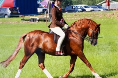 Katie Brown and Musbury Consortium