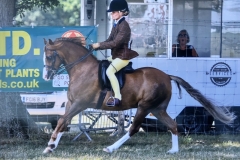 Marina Greenaway and Birkinbrook Stylish lad