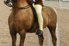 Nicole Wayman and Cadlanvalley Bentley