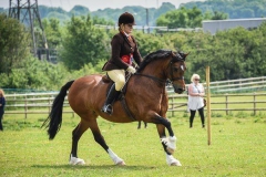 Popsters Moviestar and Gemma Morris