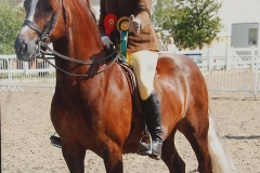 Tonlyn Tigger Two and by Katie Brown