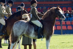 Hannah Horton and Settvalley The Gladiator