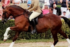 Lauren beaumont and Synod ribbons